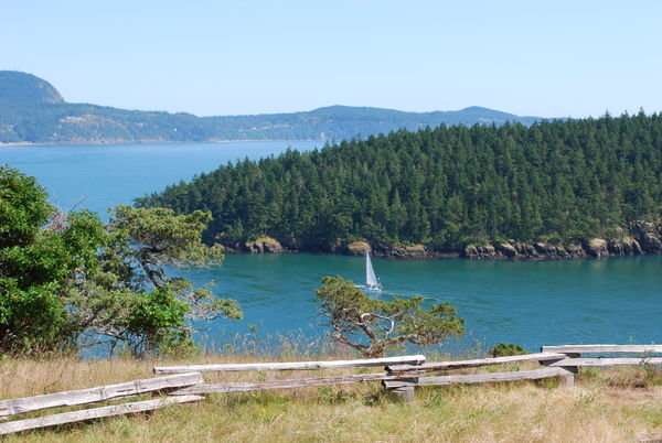 Water view in Anacortes
