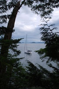 Sailboat peering through the clearing at Obstruction Pass Park