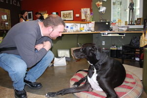 Mike and a huge Great Dane at one of the shops in Eastsound