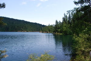 A sunny shot of Mountain Lake