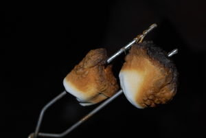 Marshmallows roasted perfectly