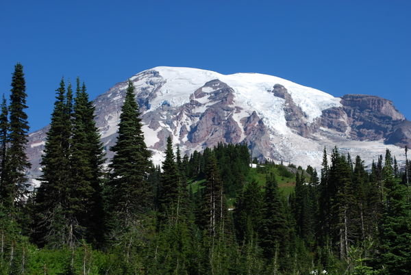 Mount Rainier from Paradise