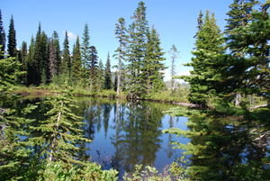 A small pond along the High Lakes Trail