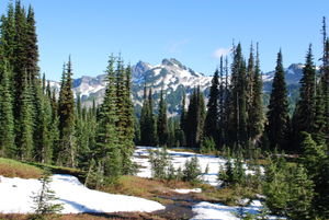 Tatoosh Range from the Hike Lakes Trail