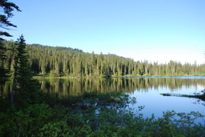 Peaceful Reflection Lake