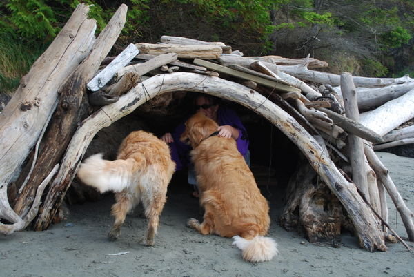 Kimberly and the dogs under shelter at the beach