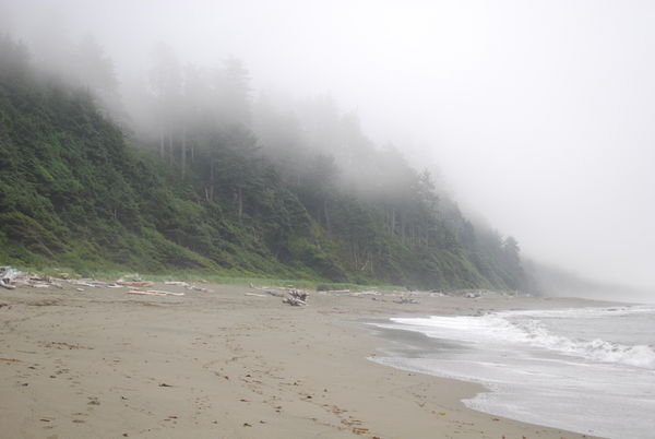 Foggy Shi Shi Beach