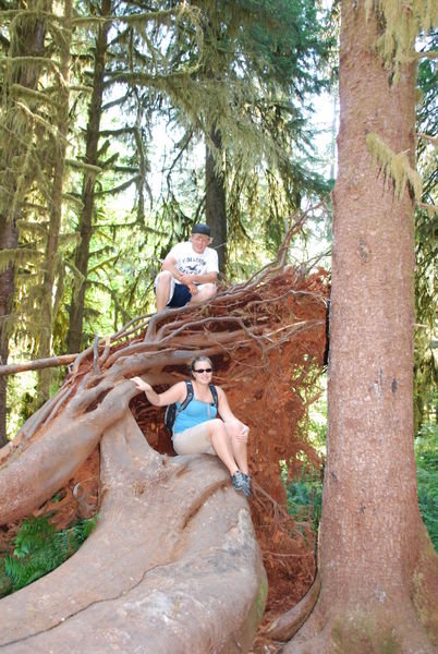 Michael and Kimberly hanging out in an uprooted tree