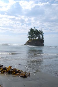 The view from the beach at Salt Creek County Park