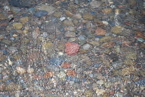 Pebbles in Lake Crescent