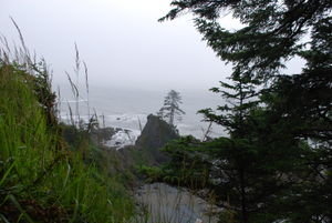 View of Shi Shi Beach from the trail