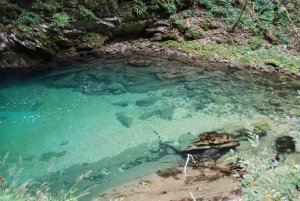 Aquamarine colored Radovna River 