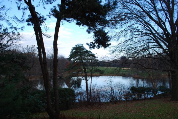 View of Belvedere Lake
