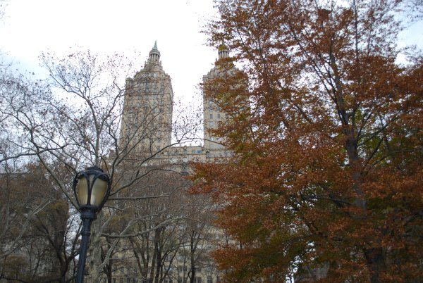 View of a building from Central Park