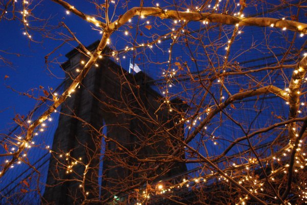 Brooklyn Bridge behind lighted branches