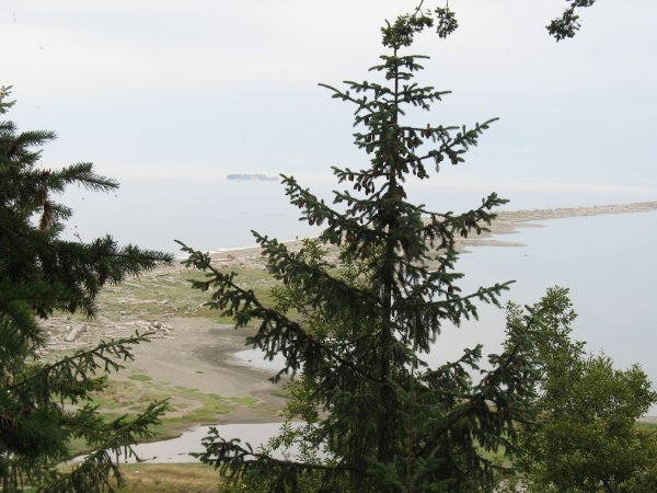 View of the Dungeness Spit