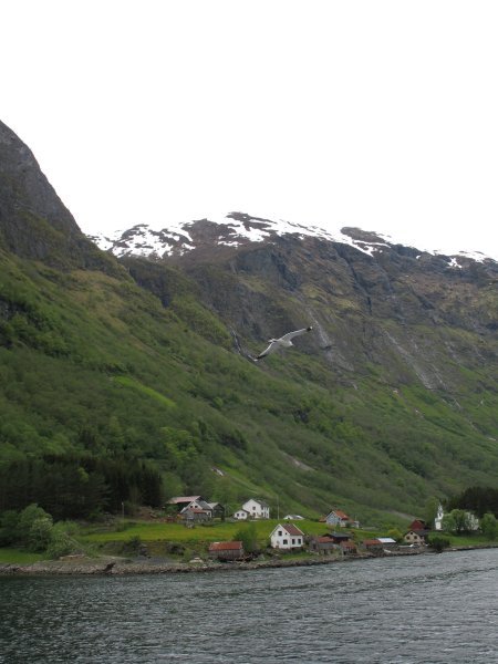 Boat ride along the Sognefjord