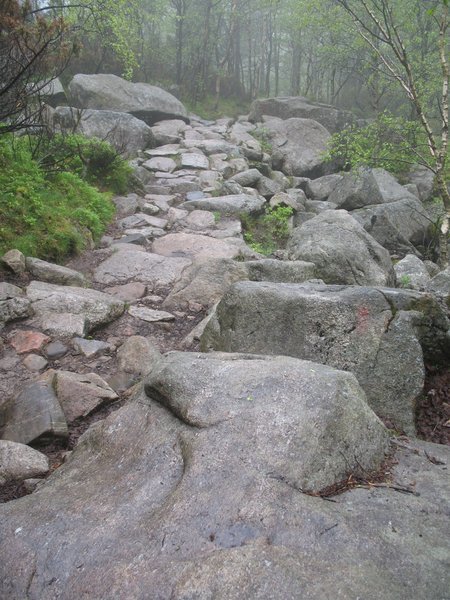 The trail starts to become a little more rocky