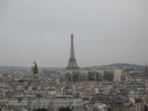 View of Paris from the top of Notre-Dame