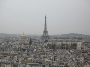 View of Paris from the top of Notre-Dame