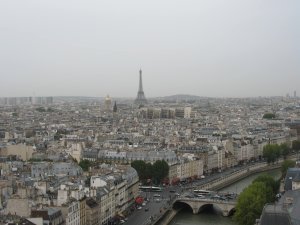 View of Paris from the top of Notre-Dame