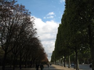 Walking along the Champs-Elysees