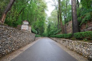 The long walk up to the Alhambra