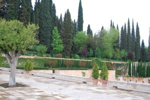 Generalife Gardens at the Alhambra