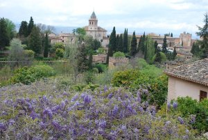View of the Alhambra from Generalife