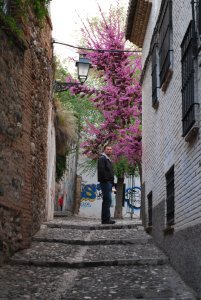 The Albayzin neighborhood of Granada