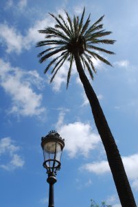Lightpost and palm tree at Parc de la Ciutadella 