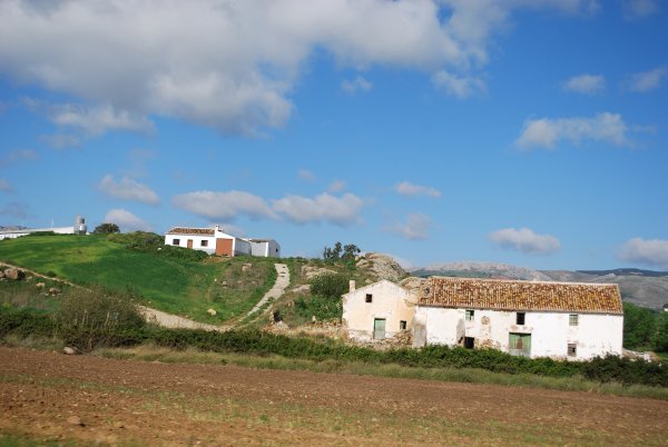 Landscape along the drive to Ronda