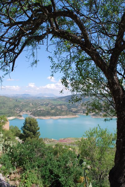 View of Sierra de Grazalema Park