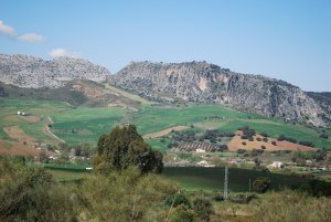 Landscape along the drive to Ronda