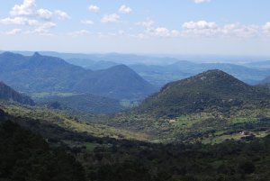 Sierra de Grazalema Park
