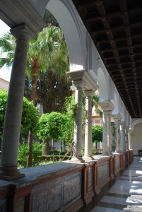 Courtyard in Museo de Bellas Artes