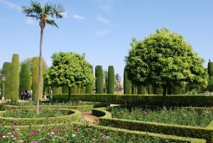 Gardens of the Alcazar in Cordoba