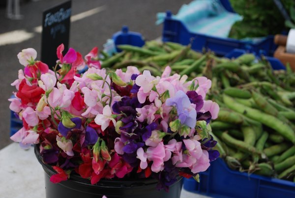 Sweet peas and green peas for sale at the Sonoma Farmer's Market