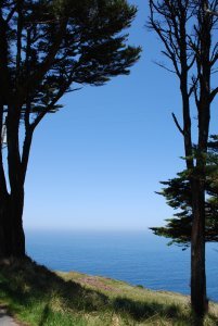 View from Point Reyes National Seashore