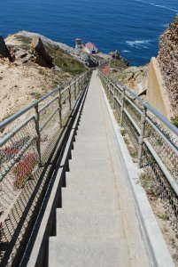 Looking down the long flight of stairs to the Point Reyes Lighthouse
