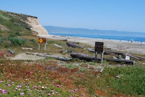 Drake's Beach (located in Point Reyes National Seashore)