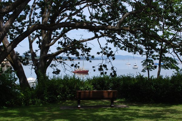 A picturesque bench at Oak Bay