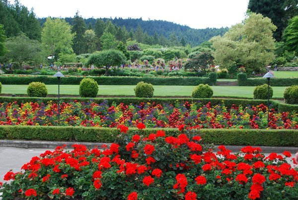 View of Butchart Gardens