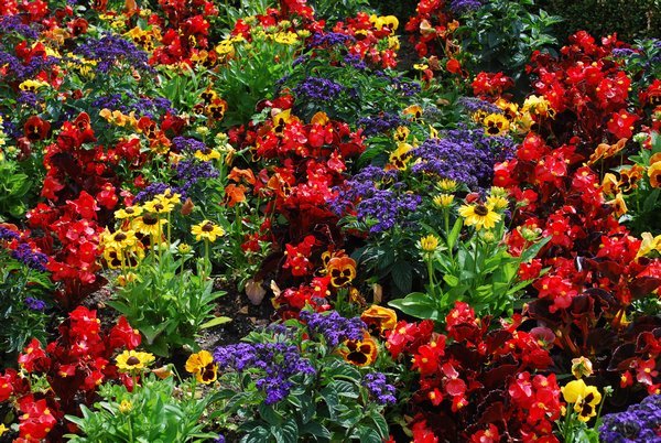 Colorful garden beds at Butchart Gardens