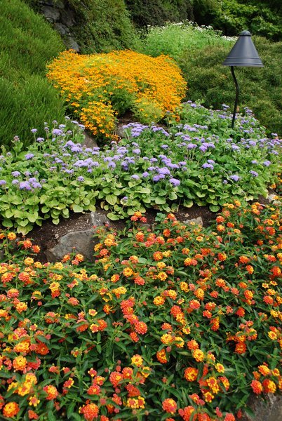 Colorful flowers at Butchart Gardens