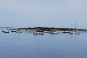 Boats in the harbor at Oak Bay