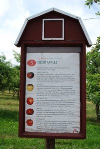 Explanation of apples used at Merridale Cidery