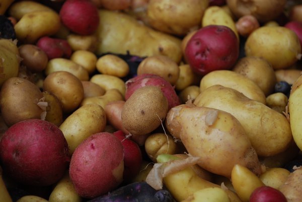 Red fingerling potatoes at the Bayview Farmer's Market in Freeland
