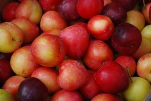 Plums at the Bayview Farmer's Market in Freeland