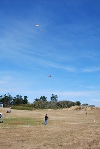 Flying kites at Fort Casey State Park